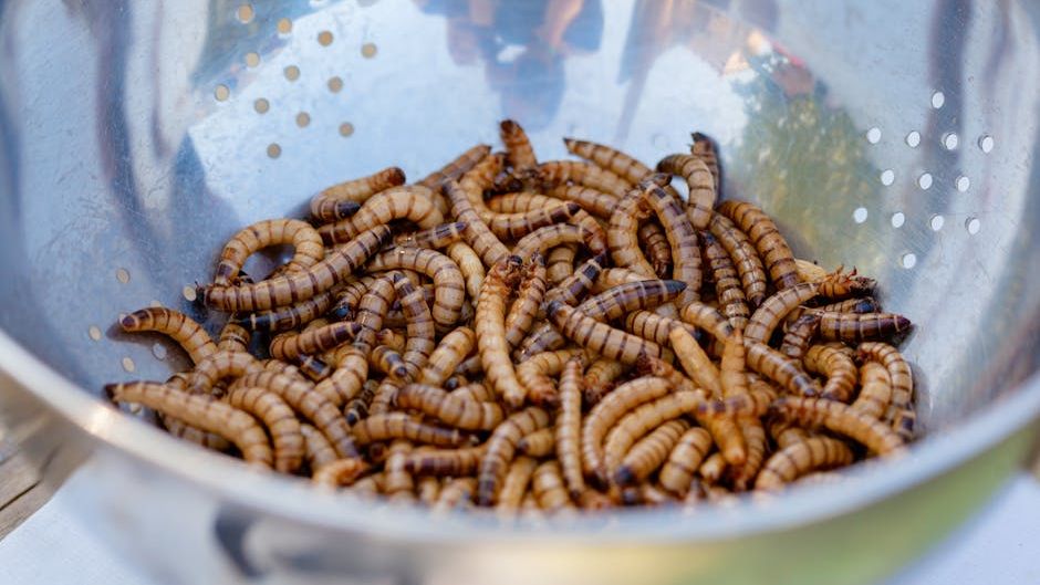 From Algae to Insects: 5 Taboo Foods That Will Likely Be Our Main Protein by 2050