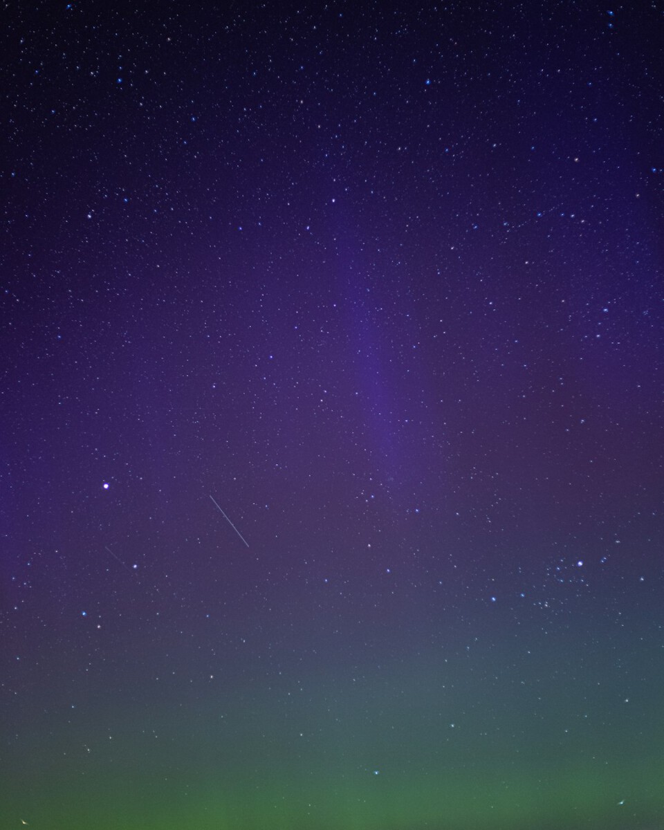 You could see up to 20 shooting stars an hour this week—if you know when to look