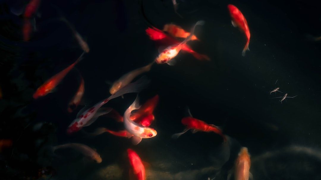 It’s Not a Coincidence: 3 Signs Who Keep Seeing the Same Repeating Numbers