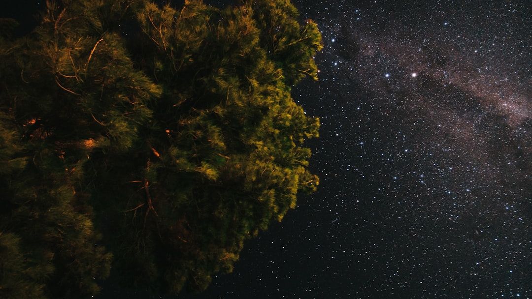 These 5 Signs Are About to Be "Discovered" for a Secret Talent