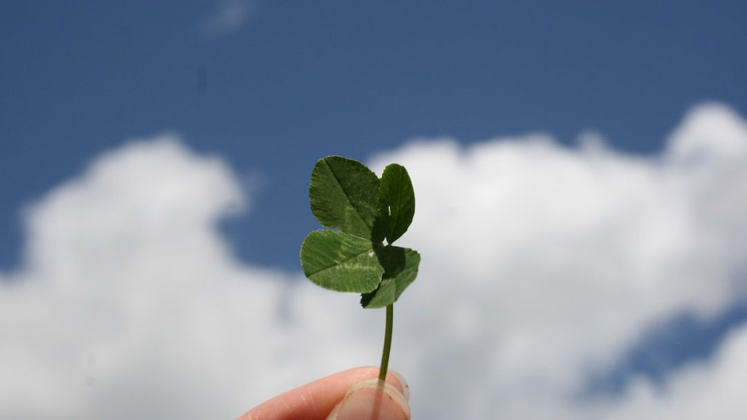 If You're one of these 3 Zodiac Signs May will be your lucky month