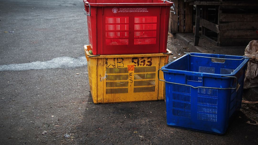 Why Professional Organizers Refuse to Buy These 5 Popular Storage Bins
