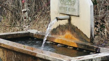 The "Bubbler" vs. "Water Fountain" Map: Why Regional Slang is Making a Massive Comeback.