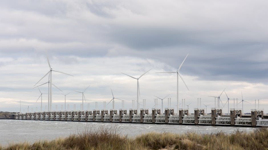 POET: I Called The Surge, Now Reset