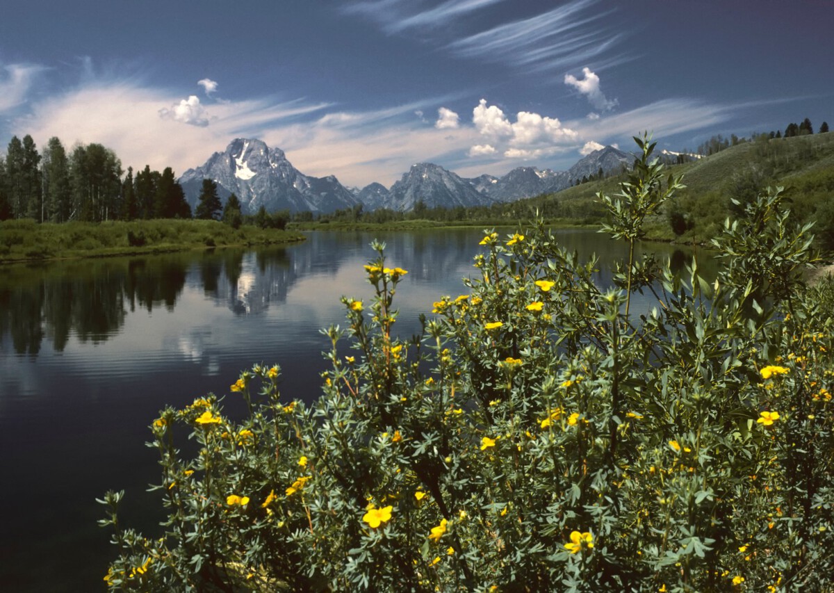 Oxbow Bend outlook in the Grand Teton National Park. View over the Snake River to the Mount Moran with the Skillet Glacier (12,605&nbsp;ft/3,842&nbsp;m), Bivouac Peak (10,825&nbsp;ft/3,299&nbsp;m) and Eagles Rest Peak (1