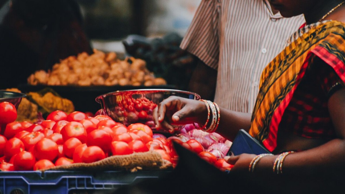 Tennessee News: Senior Farmers Market Coupons Worth $50 Still Go Unclaimed Across Many Counties