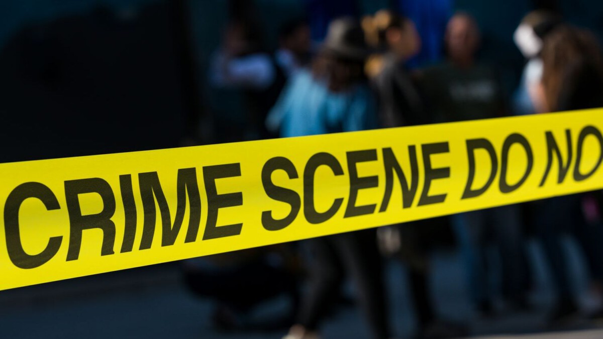 Illegal migrant butchered 2 women in savage LI murders, cops say: ‘I’ve killed someone’