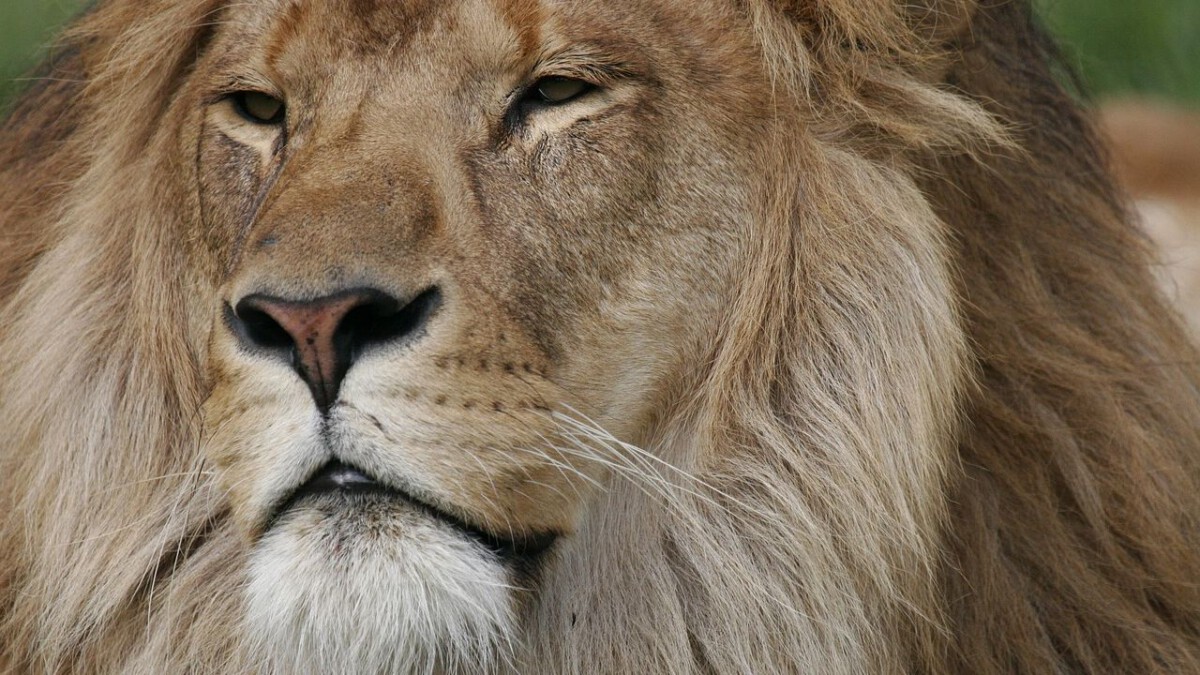 If You Hold These 2 Zodiac Signs, Expect an Apology You Never Thought Was Coming