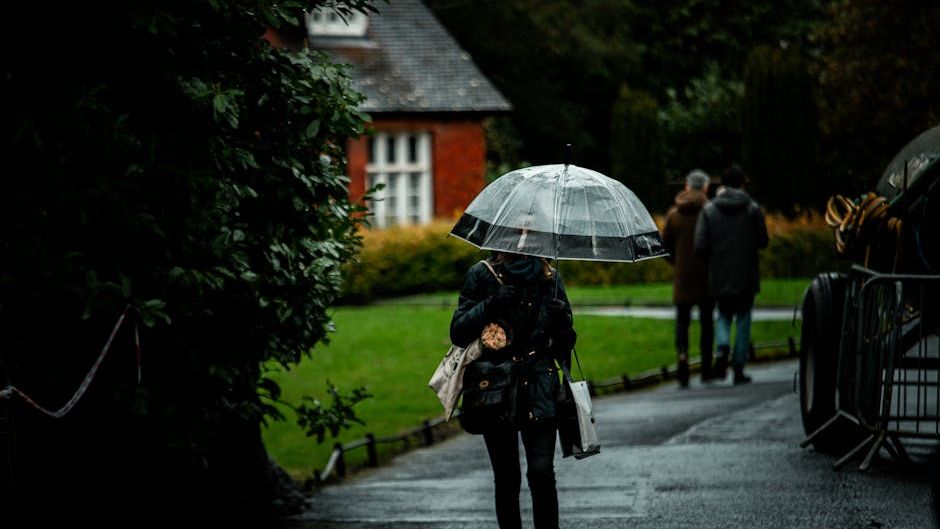 Ireland weather: Temperatures to drop to 2C as Met Eireann warns of unsettled showers