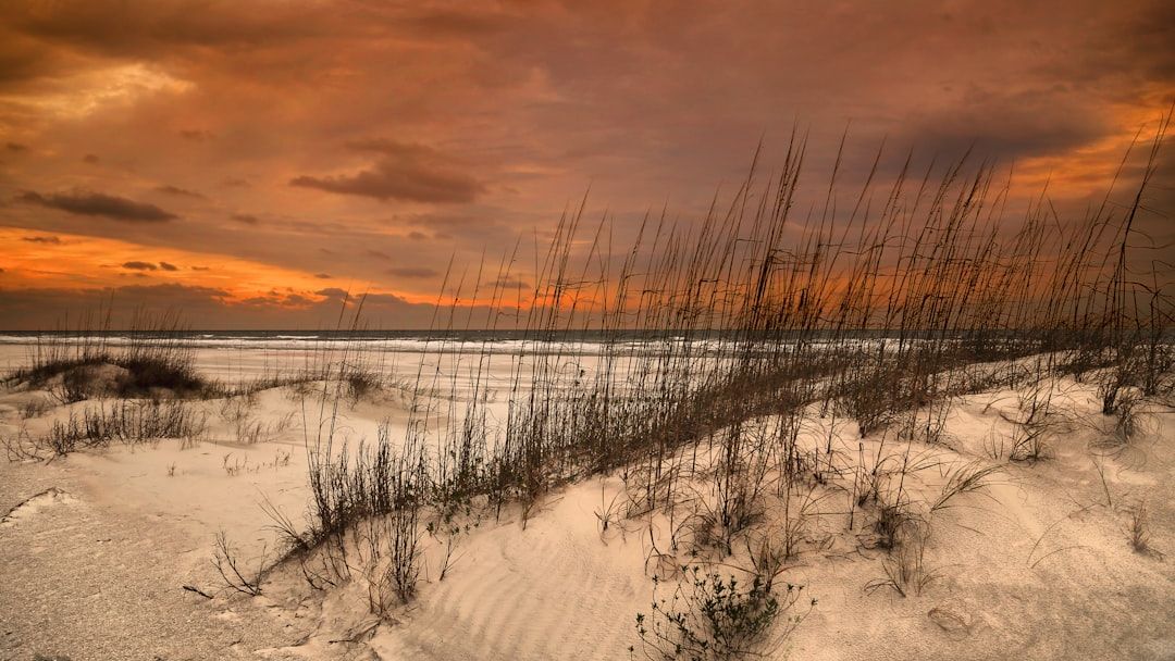 Why the 2026 Hurricane Season Is Already Defying Every Scientific Model