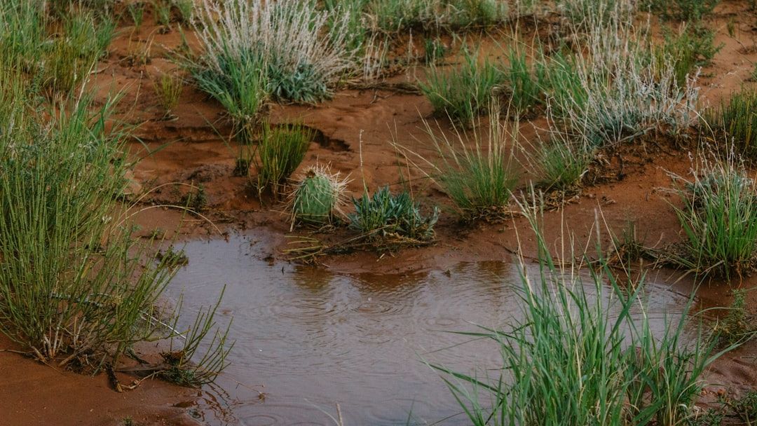 The "Invisible" Drought: Why These 4 States Are Rationing Water Secretly
