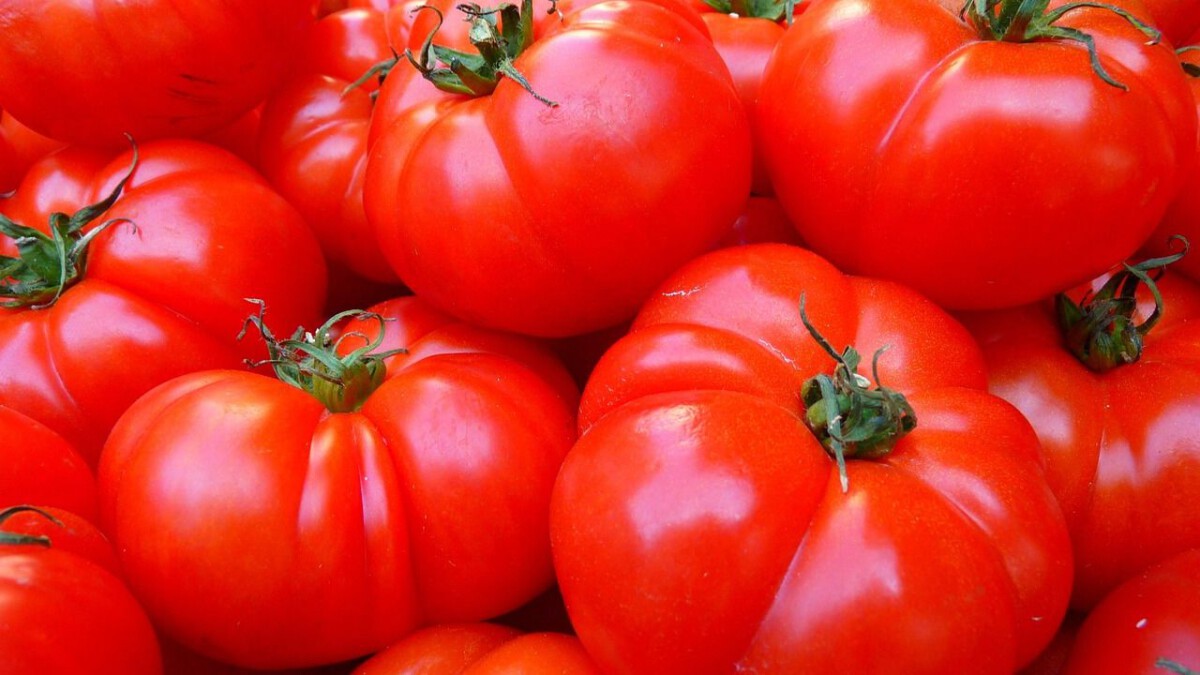 Food manufacturer Cento is committing "tomato fraud," lawsuit alleges