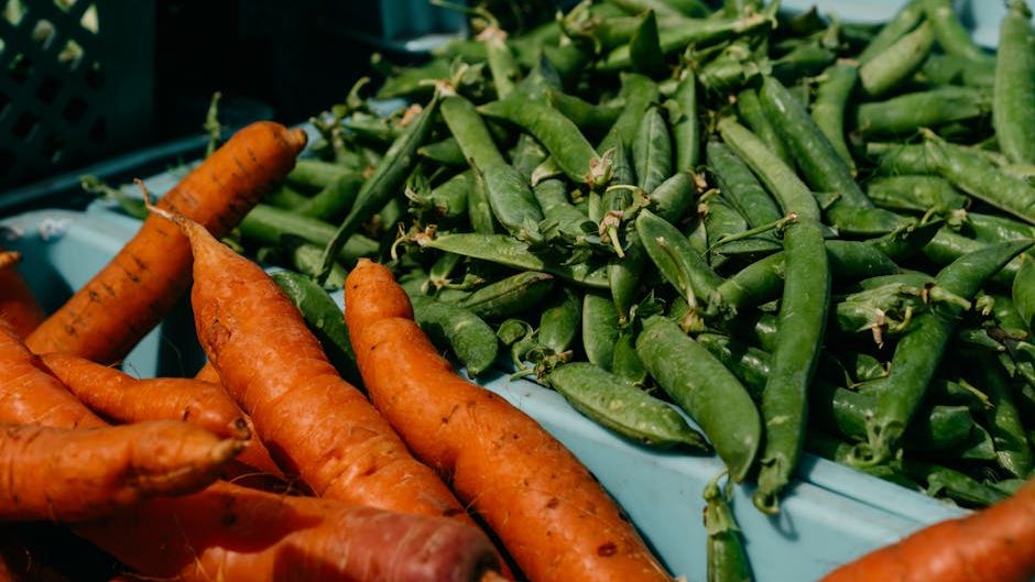 USDA tightens SNAP retailer rules, requiring more nutritious food options