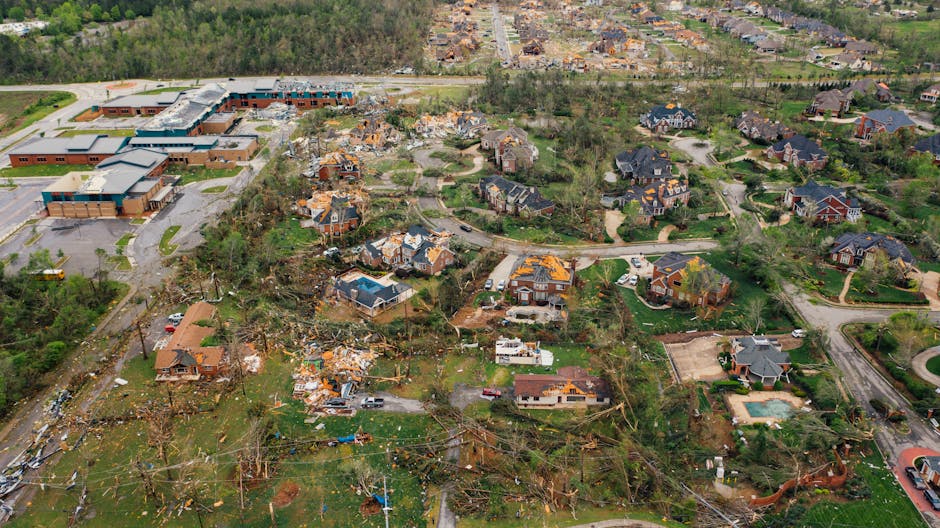 Survivors of Mississippi tornadoes crawled under furniture and held onto their kids