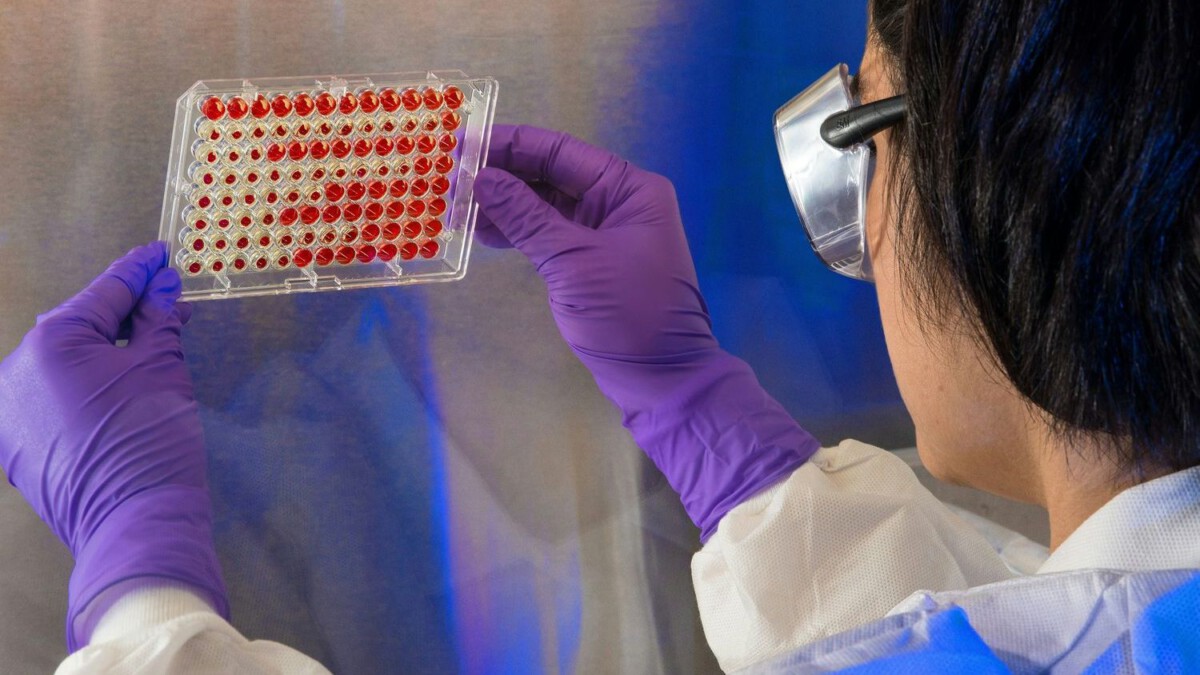 American Flying Back to US Tests Positive For Hantavirus: What Happens Now
