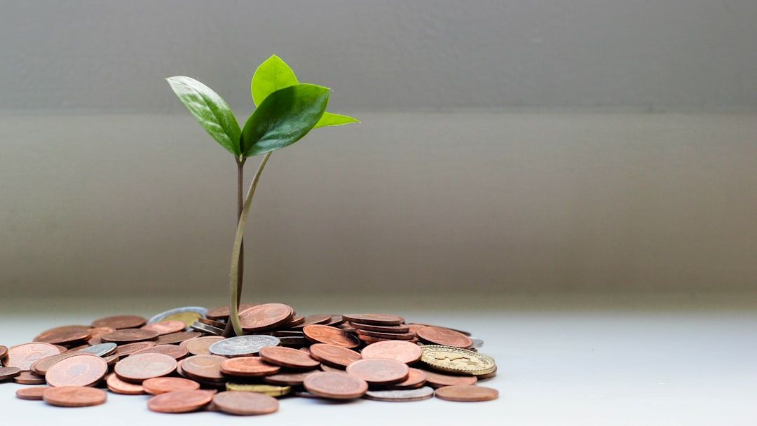 Impax Global Environmental Markets Fund Q1 2026 Commentary