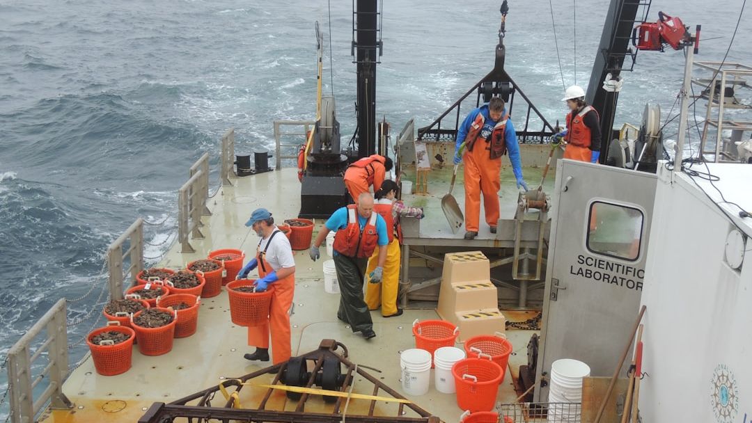 Mowi Q1 earnings rise as record harvest volumes offset weaker salmon prices