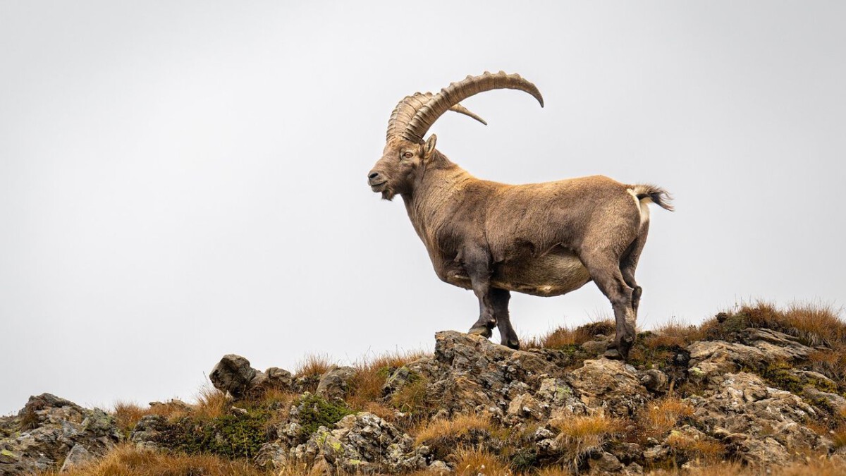These 4 Zodiac Signs Are Finally Breaking the "Generational Curse" of Bad Luck.
