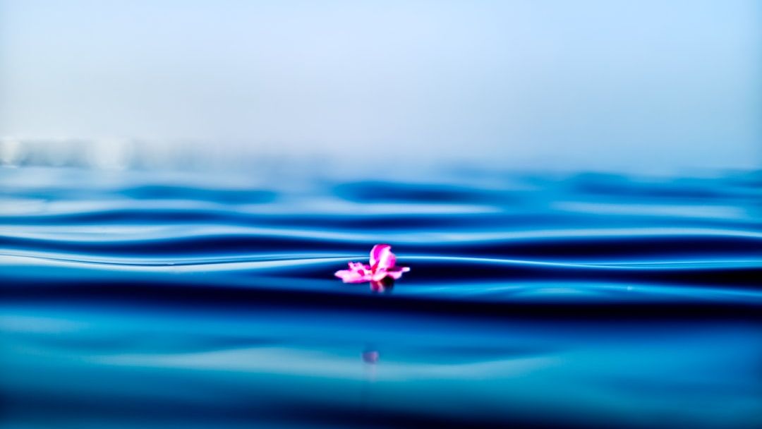 The Empath’s Burden: Why These 3 Zodiac Signs Absorb Everyone Else’s Energy