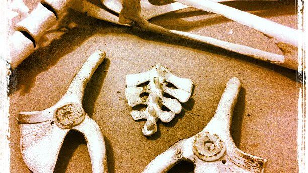 Tombstone Secrets: What Ancient American Graveyards Reveal About How Our Ancestors Lived