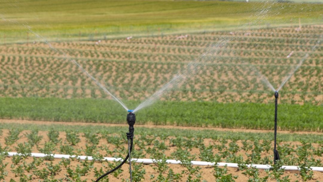 The "Off-Grid" Investment: Why Land With Water Rights Is the New Gold.