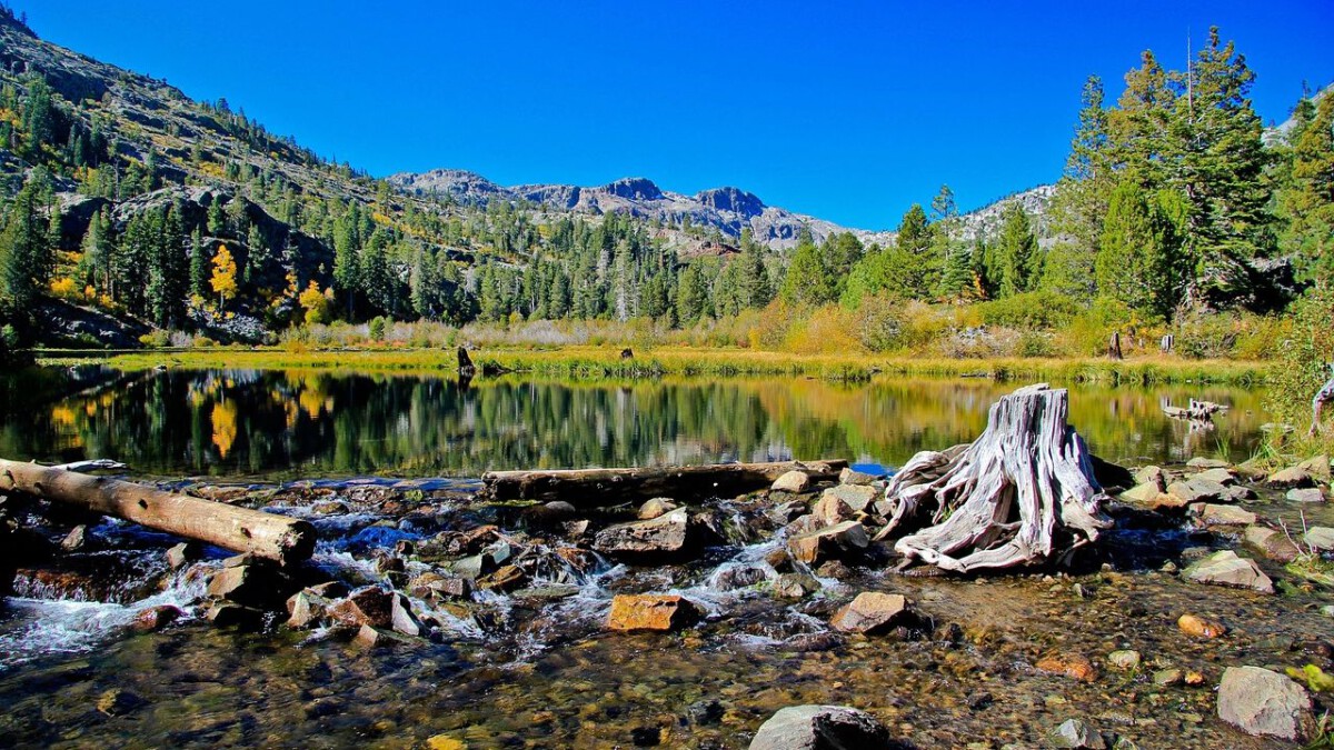 Lost Legends: 8 American Urban Myths That Locals in These 5 States Actually Believe