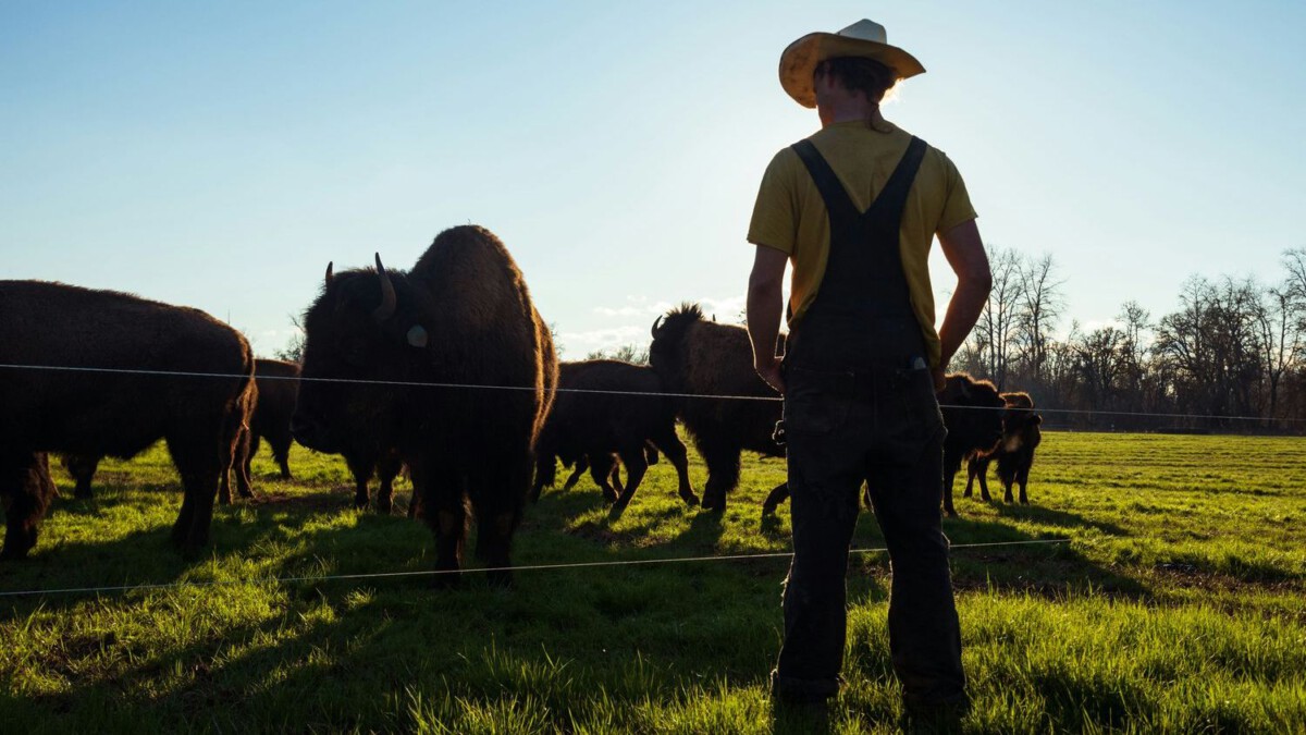 New uncertainty for America's farmers as China summit wraps, Iran war fuels high costs