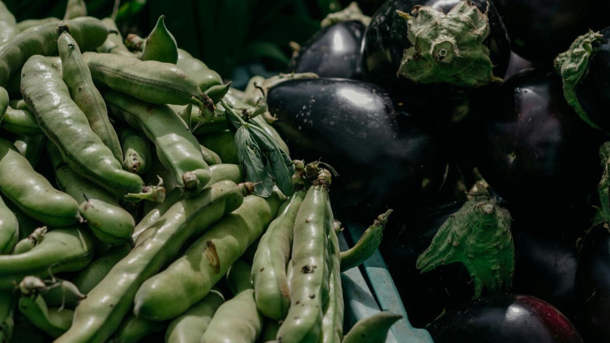 SNAP Benefit Recalculations Are Rolling Out Now — Here’s How They Could Affect Your Food Money