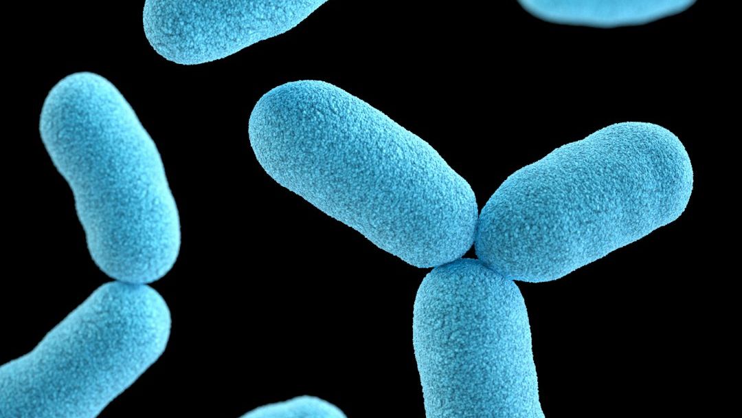 19 Legionella bacteria infections linked to Kaiser Bay Area hospital