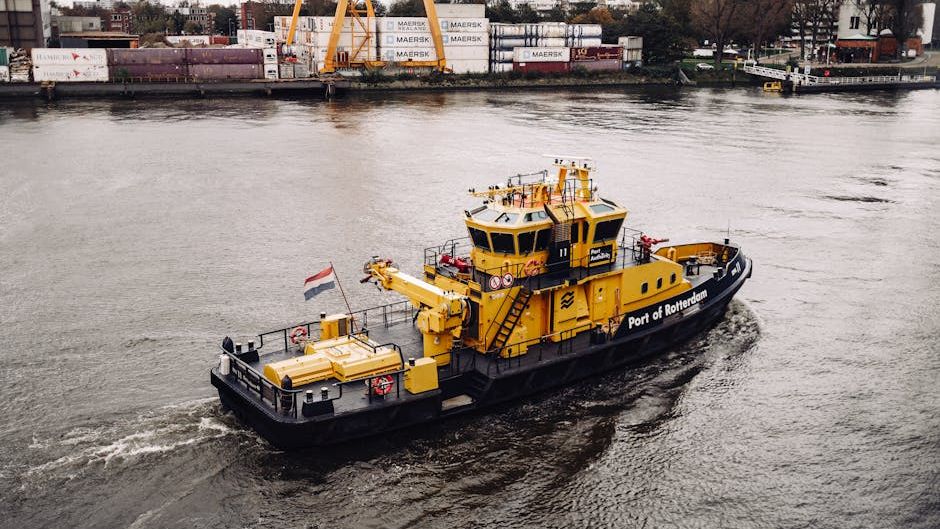 Hantavirus-stricken cruise ship docks in the Netherlands for disinfection