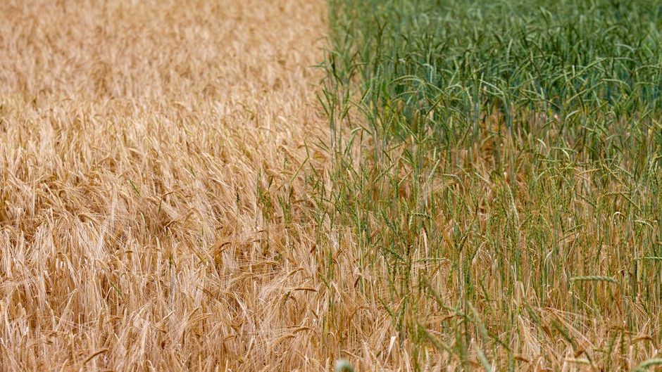 Indian scientists create world’s first AI-designed gene editor for crops
