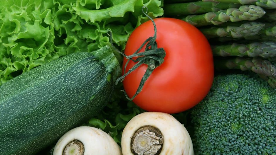 SNAP Benefit Recalculations Are Rolling Out Now — Here’s How They Could Affect Your Food Money