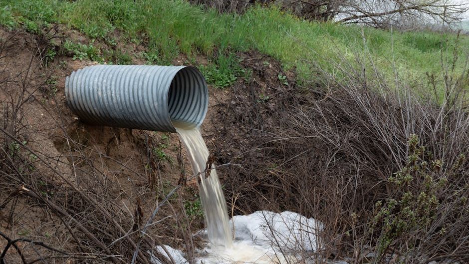 Sewage scare in East Alton; officials say it was for planned upgrade