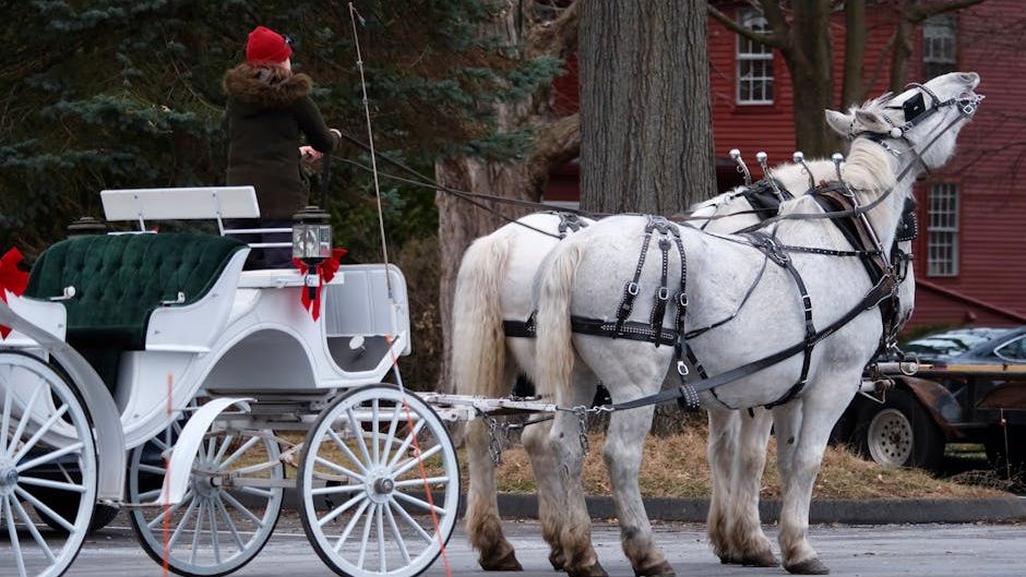Driver hurt after spooked horse crashes into another carriage in NYC park: ‘It’s madness’