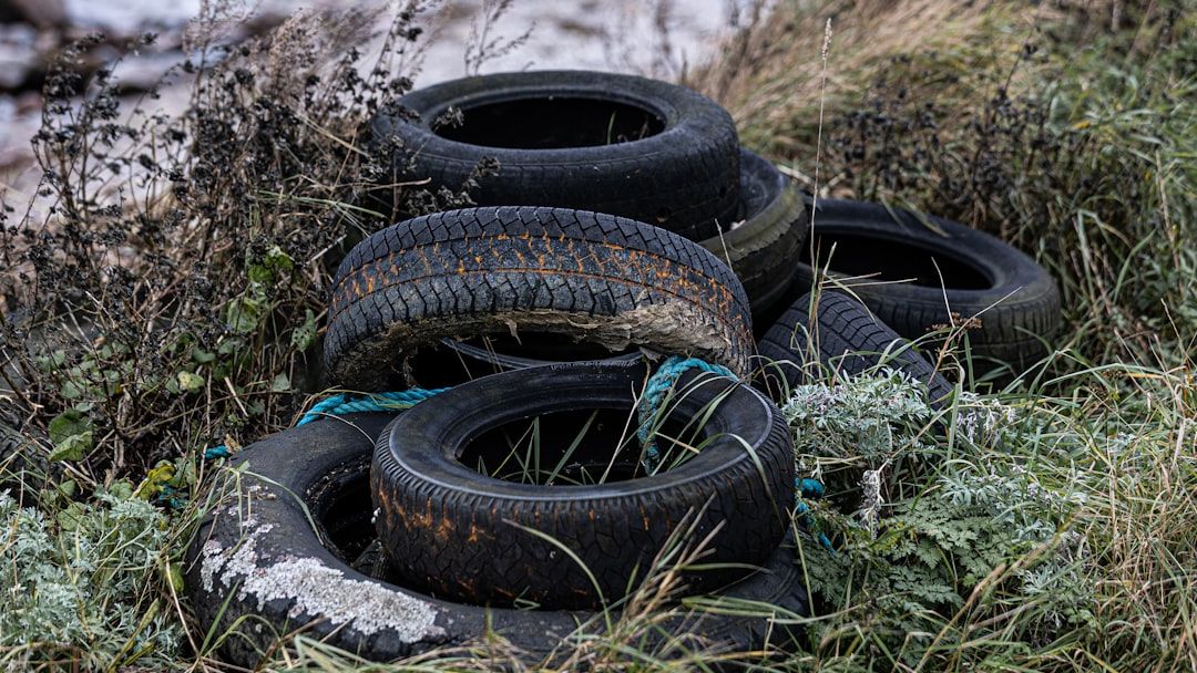 The Yard Waste Trap: 5 Things You Should Never Bury on Your Property (and the Legal Risks)