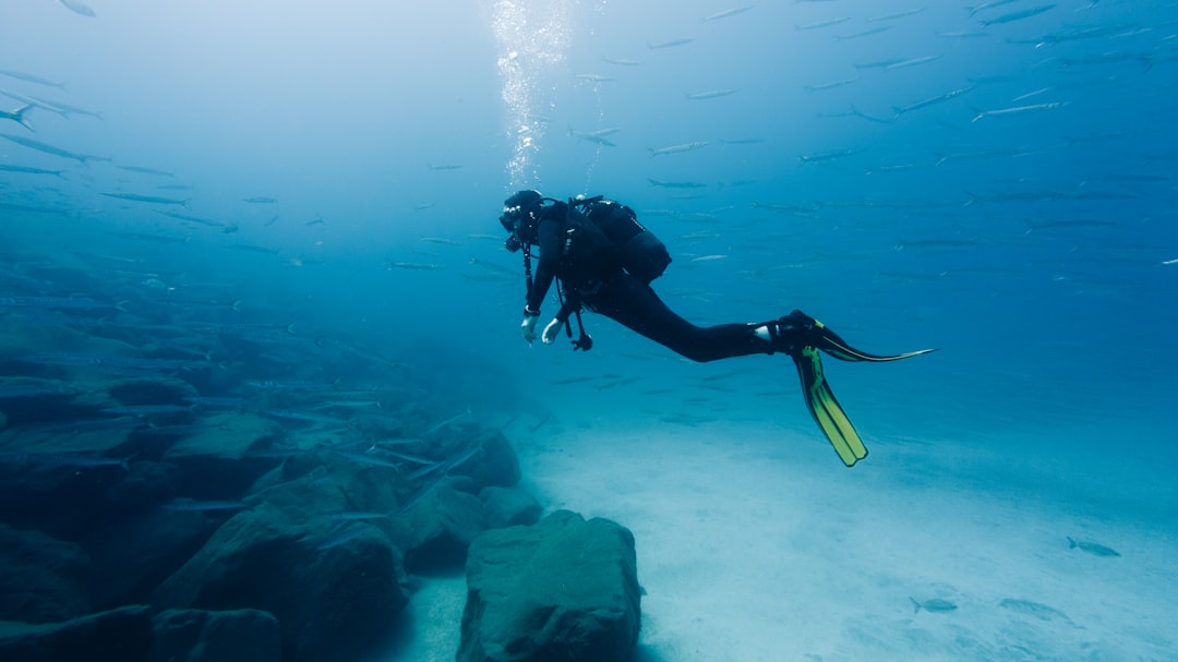 Finnish divers recover remaining 2 bodies of Italians from underwater cave in Maldives