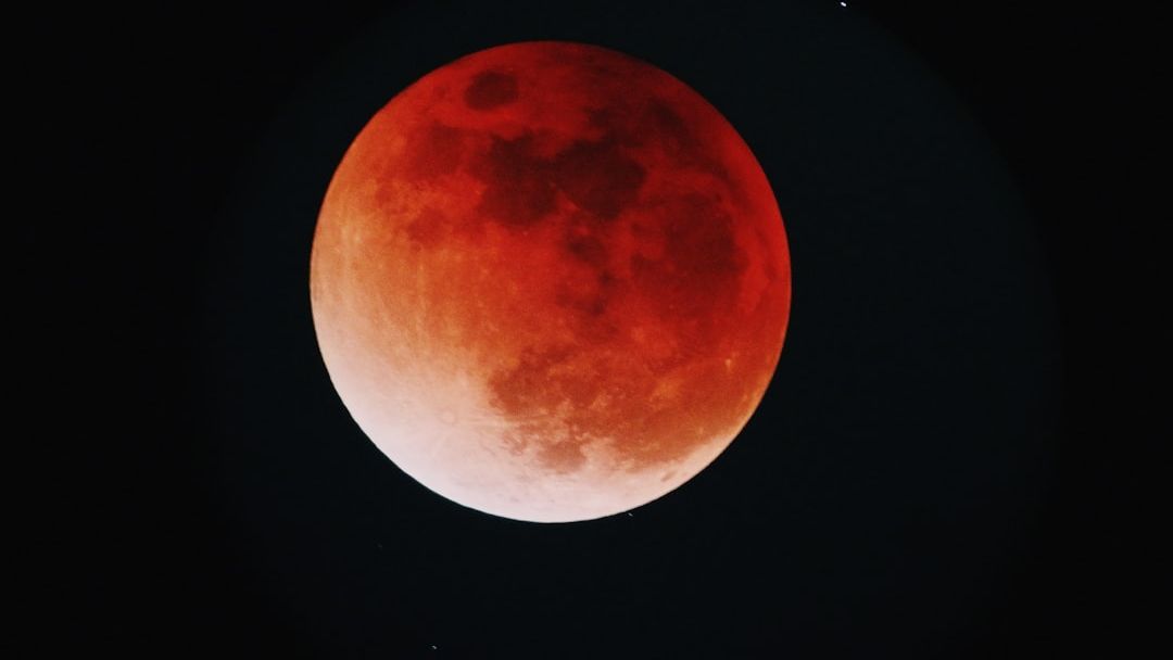 ‘Blood Moon Rite 8’ Set For North American Release Through Skyline & Eastern Edge